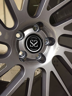 Tesla Roadster I Gloss Gun Metal 1 Piece Forged Wheels 16